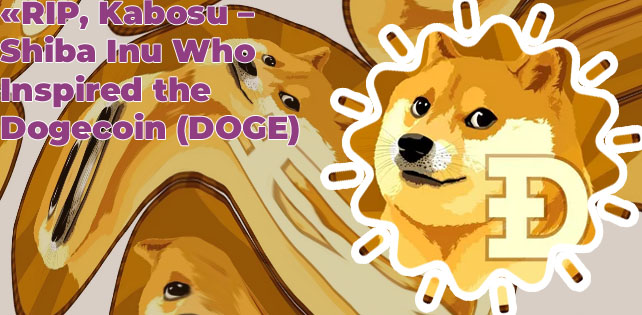 Passes dogecoin no cryptocurrency