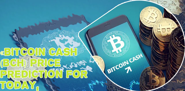 Should i buy bitcoin or bitcoin cash