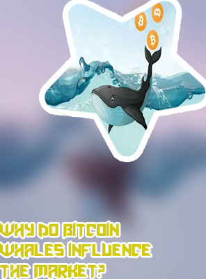 Whale watch bitcoin