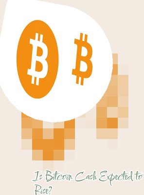 What is bitcoin cash worth